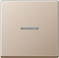 Лицевая панель Jung A creation для 1-кл. выключателя с подсветкой шампань картинка